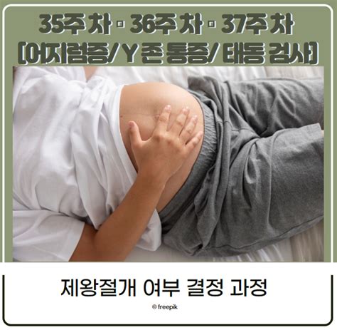 35주 차 36주 차 37주 차 어지럼증 Y존 통증 태동 검사 제왕절개 여부 결정 과정 네이버 블로그