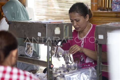 Anggaran Subsidi Penyaluran Kur Antara Foto