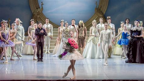 the sleeping beauty mikhailovsky