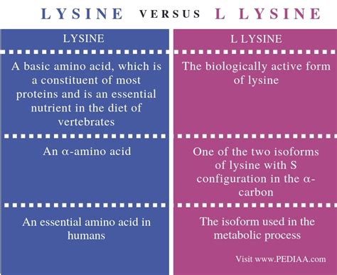 What Is The Difference Between Lysine And L Lysine Pediaacom