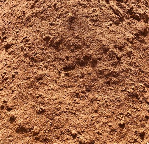 Organic Agriculture Coco Peat Powder For Nursery Landscaping