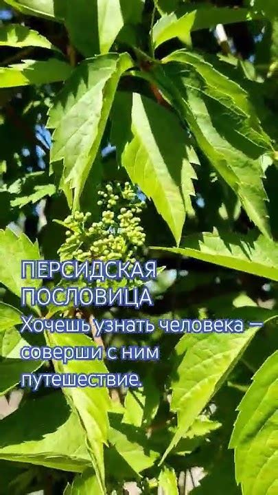 Путешествие вдвоем. - YouTube