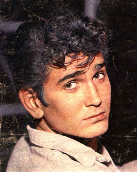 Can We Talk About How Perfect This Face Is … Michael Landon Bonanza