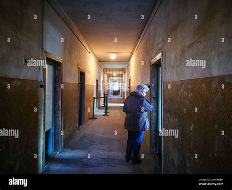 Camp De Concentration Dauschwitz Un Réseau De Camps De Concentration Allemands Nazis Et De