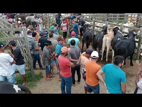 Feira De Gado De Jo O Alfredo Pernambuco Feiradegado Youtube