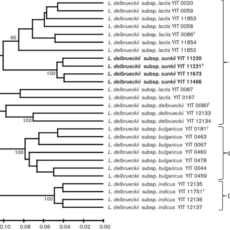 Phylogenetic Tree Based On MALDI TOF MS Patterns Showing The