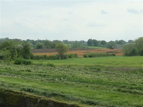 russet coloured field east  brickyard  christine johnstone cc