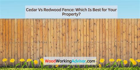 Cedar Vs Redwood Fence Which Is Best For Your Property Woodworking