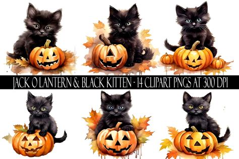 Jack O Lantern & Black Kitten Clipart Graphic by Digital Paper Packs ...