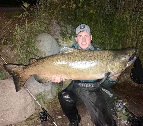 Are The Salmon Running Our Weekend Fishing Forecast For Lake Ontario