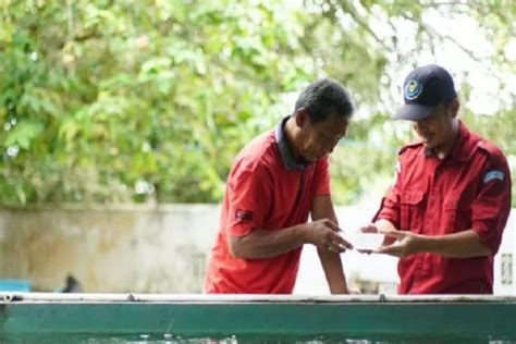 Tingkatkan Kapasitas Usaha Perikanan KKP Terjunkan Penyuluh