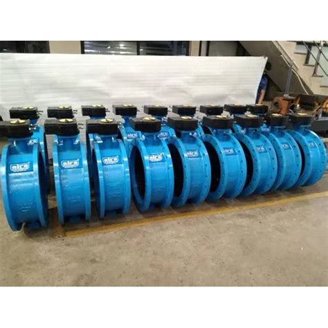 Blue Rubber Lined Lug And Wafer Type Butterfly Valve At Best Price In