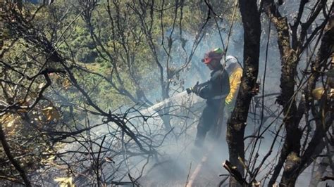 📰declaran Calamidad Pública En Cundinamarca Por Incendios Forestales