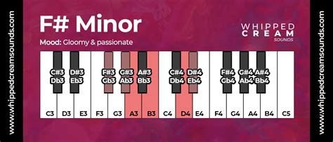 F# Minor Chord Scale, Chords in The Key of F Sharp Minor - Whipped ...