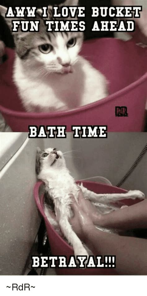 True Book Addict...Books, Cats, and More: #CatThursday - Bath Time! #Cats