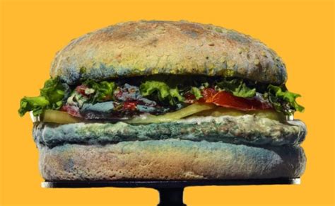 A Moldy Whopper Is The Focus Of Burger King S Newest Ad Otosection