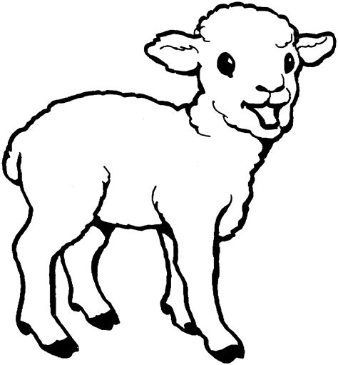 Free Printable Sheep Coloring Pages For Kids