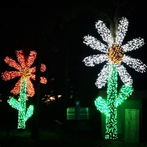 oregon garden resort christmas lights - Dorie Strange