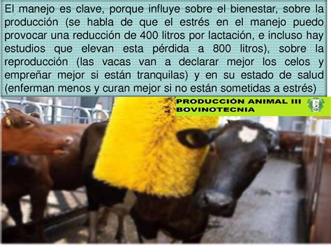 SOLUTION Factores Que Inciden En La Producci N Bovina Seccion C