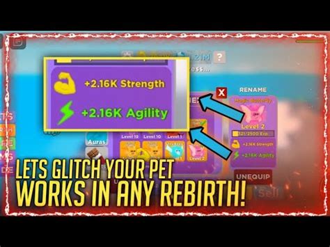 How To Glitch Your Pet In Muscle Legends Works In Any Rebirth