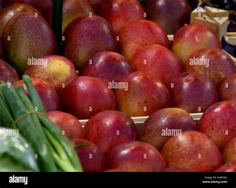 Mango Orange Tree Hi Res Stock Photography And Images Alamy