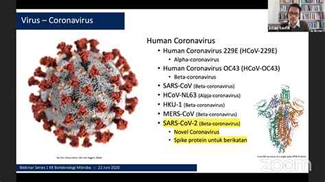 Berkenalan Lebih Dekat Dengan Virus Corona Dan Wabahnya Institut