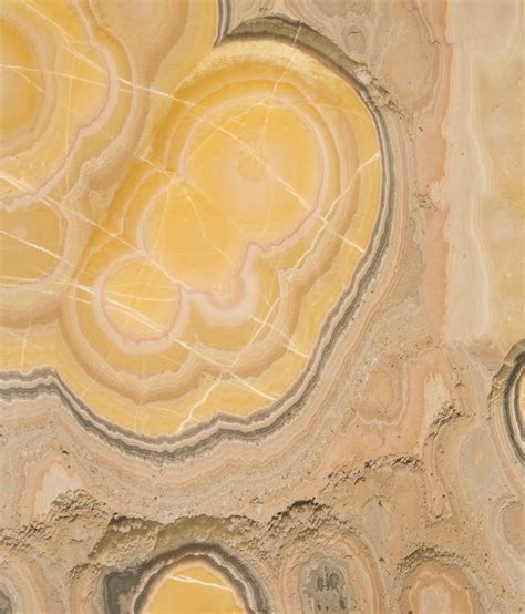 Hazel Honey - SolidNature