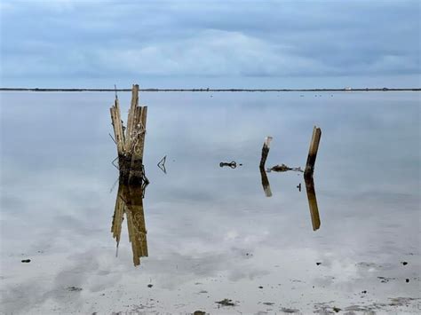 premium photo delta del ebro