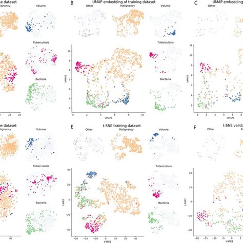 Embedding Space Of The Contrastive Loss Model In The Validation Download Scientific Diagram