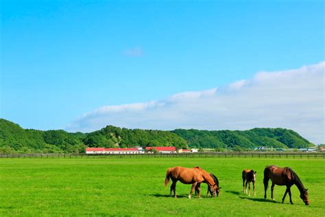 撮り旅シリーズ夢中でシャッターを切りたい！北海道の夏はこんな絶景ぞろい。 旅して体験！北海道