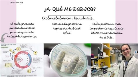 Descubre El Desaf O Del Master En Investigaci N En Biolog A Molecular