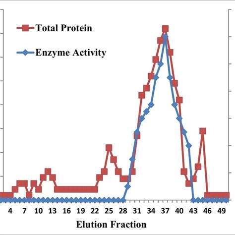 SDS PAGE Showing The Purification Of Lipase In Different Steps From