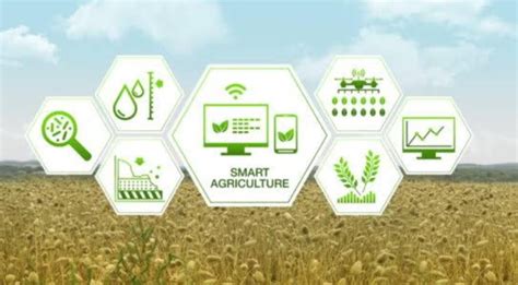 Agriculture Smart Farming The Future Of Agriculture