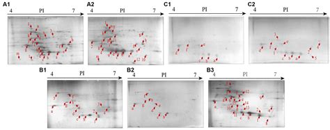 Frontiers Comparative Secretomic And Proteomic Analysis Reveal Multiple Defensive Strategies