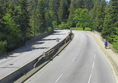 Fallen Tree Closes Stanley Park Causeway In Both Directions News