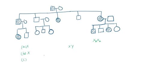 Solved The Inheritance Pattern For An Autosomal Dominant Trait Is