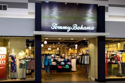 Best Tommy Bahama cologne Review For Men