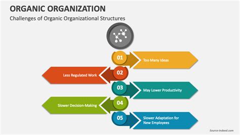 organic organization powerpoint  google  template