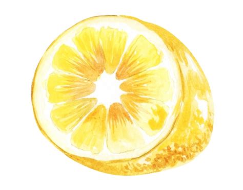 Premium Photo Set Of Watercolor Illustrations Of Lemons Hand Painted