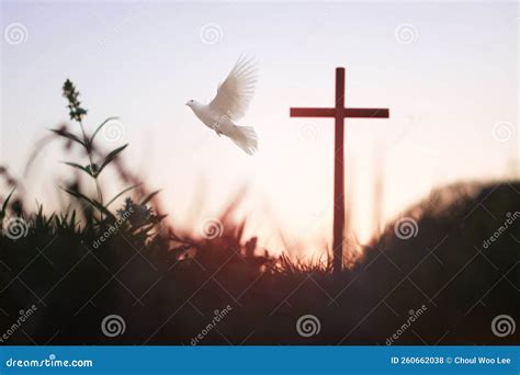 Shining Holy Cross Of Jesus Christ And White Dove Stock Photo Image