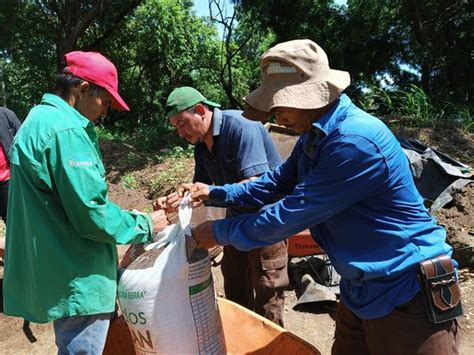 Especialistas fortalecen sus conocimientos en la elaboración de