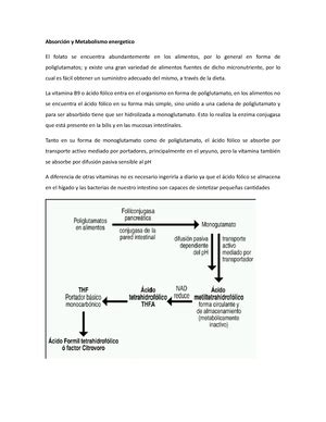 Incrustaciones Operatoria Teor A Operatoria Dental Uabjo Studocu