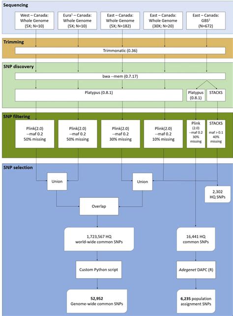 Snp Discovery Flowchart Including Sampling Sequencing Technologies