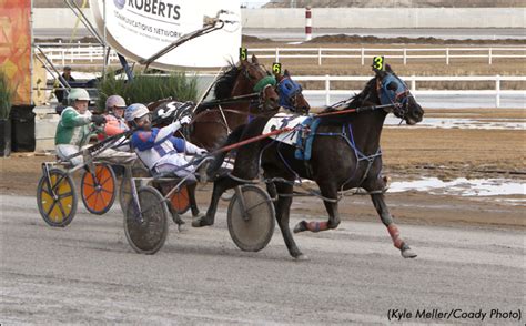 Hennessys Dominate Century Opener Standardbred Canada