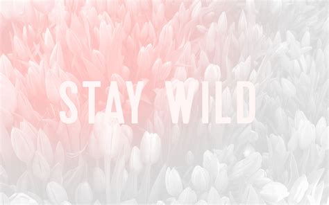 Stay Wild Aesthetic Wallpapers - Wallpaper Cave