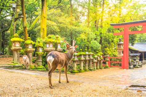 奈良のパワースポット神社 おすすめ13選 おすすめ旅行を探すならトラベルブック女子旅