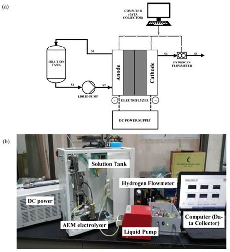 Polymers Free Full Text Investigation Of Performance Of Anion