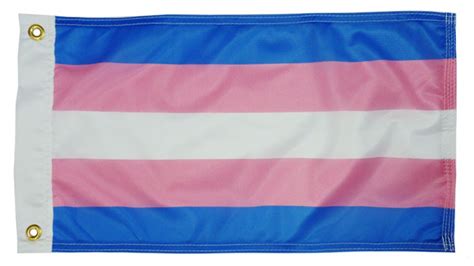 12 X 18 Transgender Flags Boat Flags