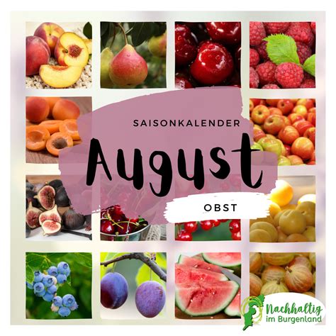 Saisonkalender August Nachhaltig Im Burgenland