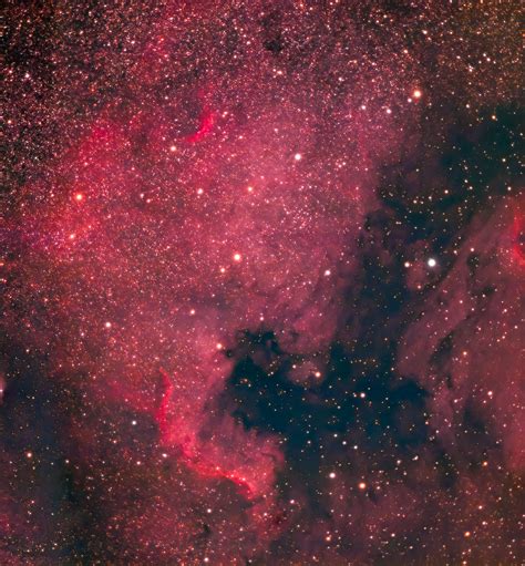 North American Nebula Ngc Snc Astro Photo